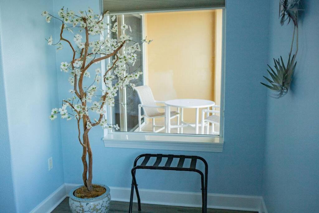 80 Surfview Drive - Unit 604 Lejlighed Palm Coast Eksteriør billede